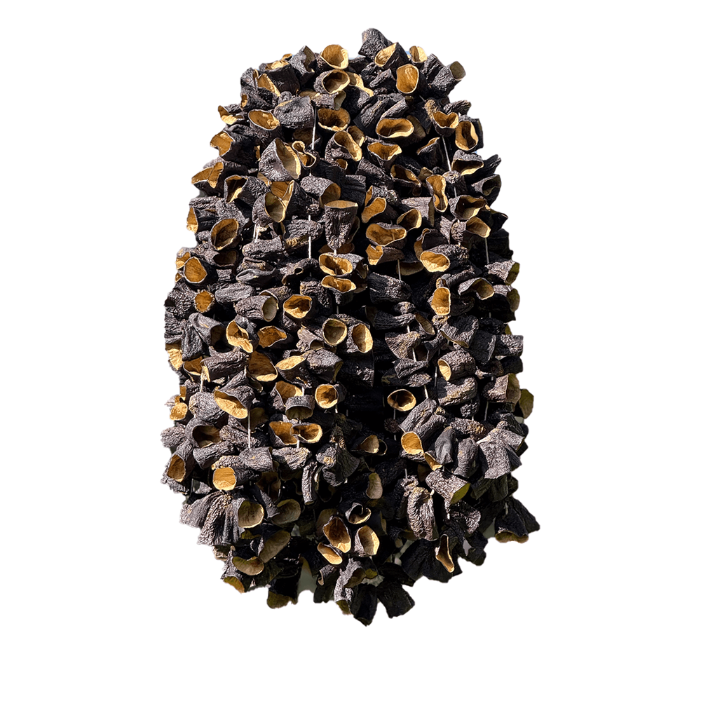 Nazilli Patlıcan Kurusu Uç 20 Dizi