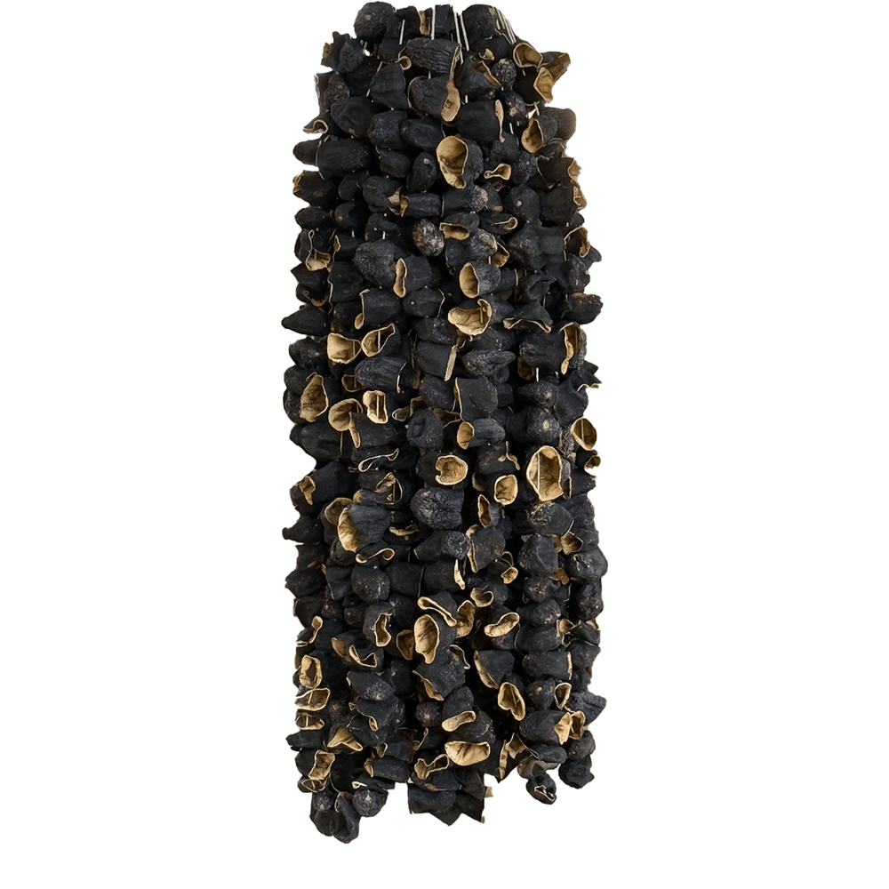 Antep Patlıcan Kurusu Dolmalık Uç 20 Dizi