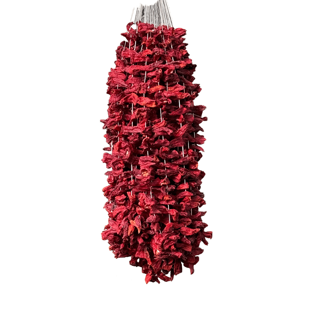 Kapya Biber Kurusu 20 Dizi