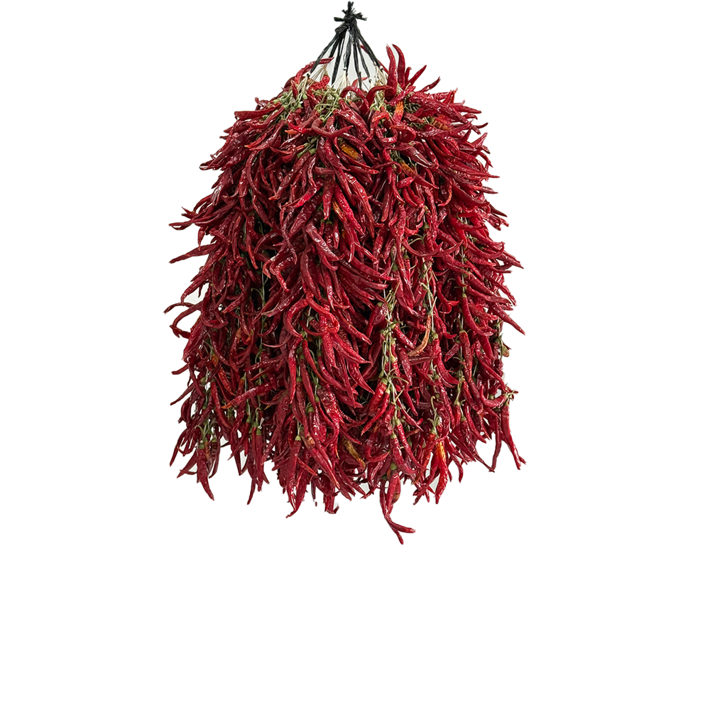 Bilecik Biber Kurusu 100 Dizi