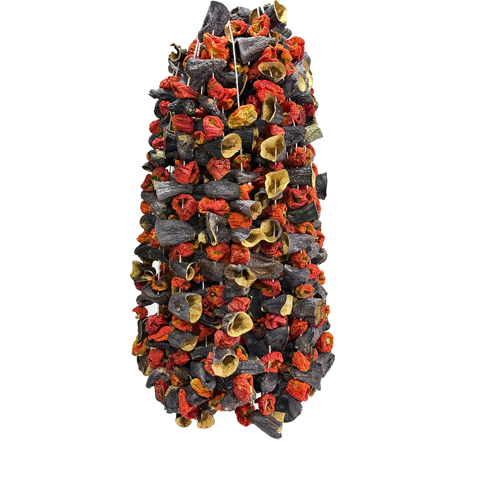 Kokteyl Mix Kuru Sebze Uç 20 Dizi