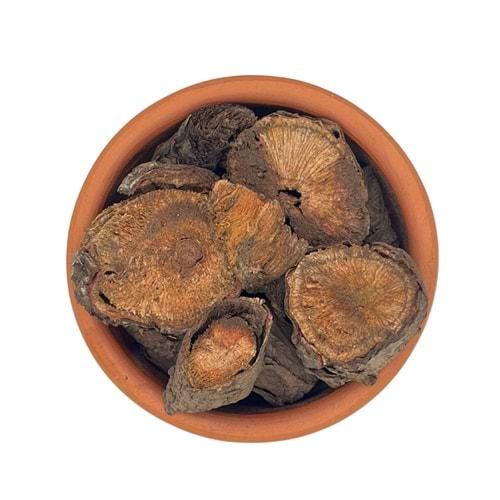 Işkın Kökü 2. Kalite Dökme 5 Kg